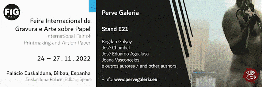 fig22 banner pt eng web